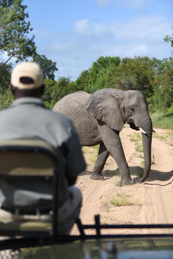 Shumbalala Game Lodge محمية ثورنيبوش للطيور البرية المظهر الخارجي الصورة