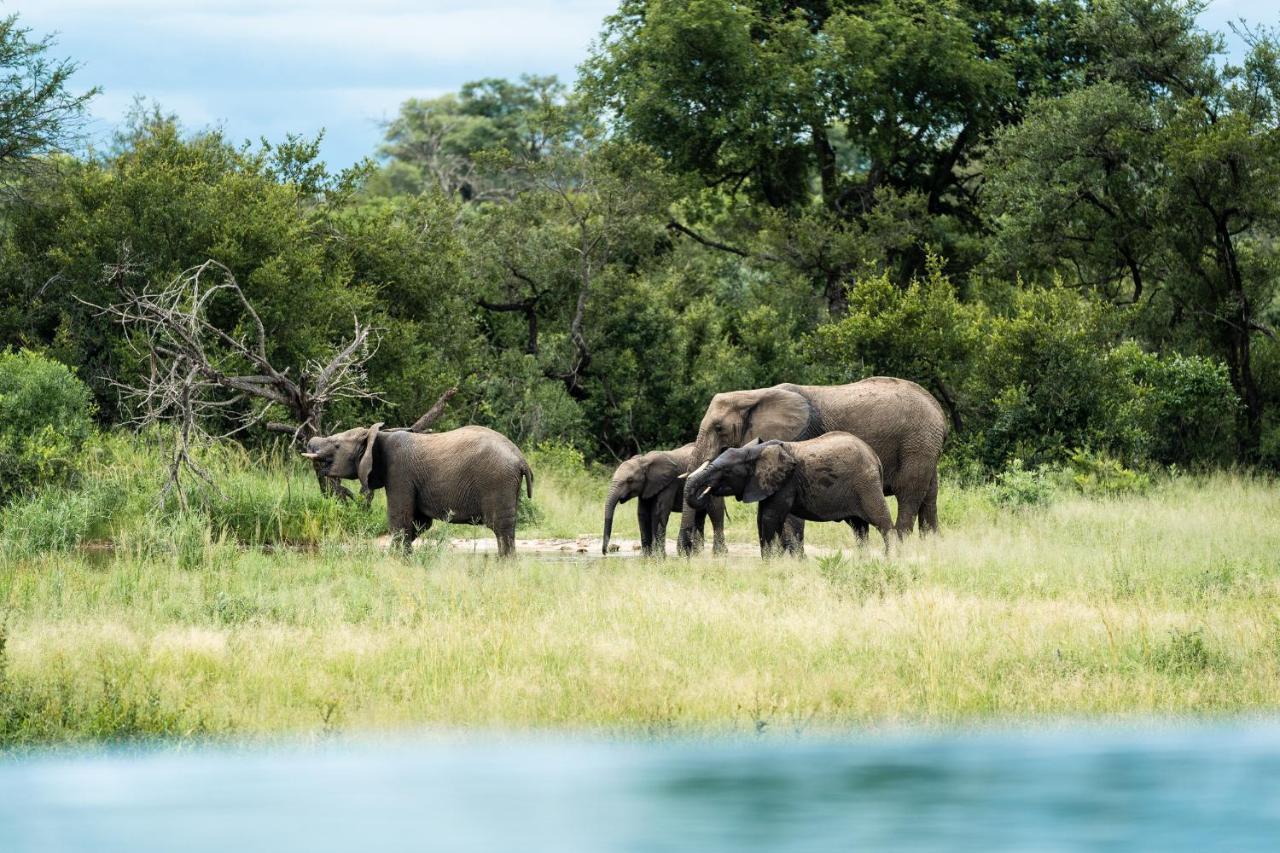 Shumbalala Game Lodge محمية ثورنيبوش للطيور البرية المظهر الخارجي الصورة